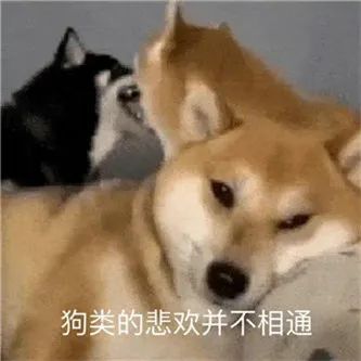 圣诞快乐！ - 炫图天下