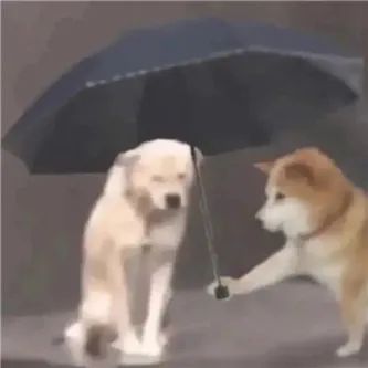 她这曲线，太绝了啊！ - 炫图天下