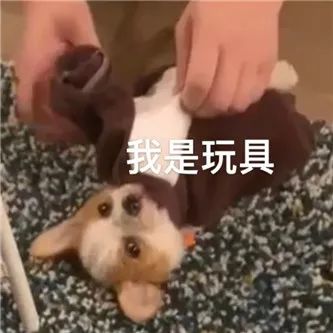 日本网红，她一直在吃吃吃… - 炫图天下