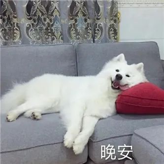 台湾大学生，好纯啊！ - 炫图天下