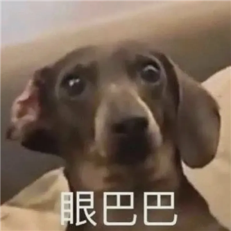 好大の香港！ - 炫图天下