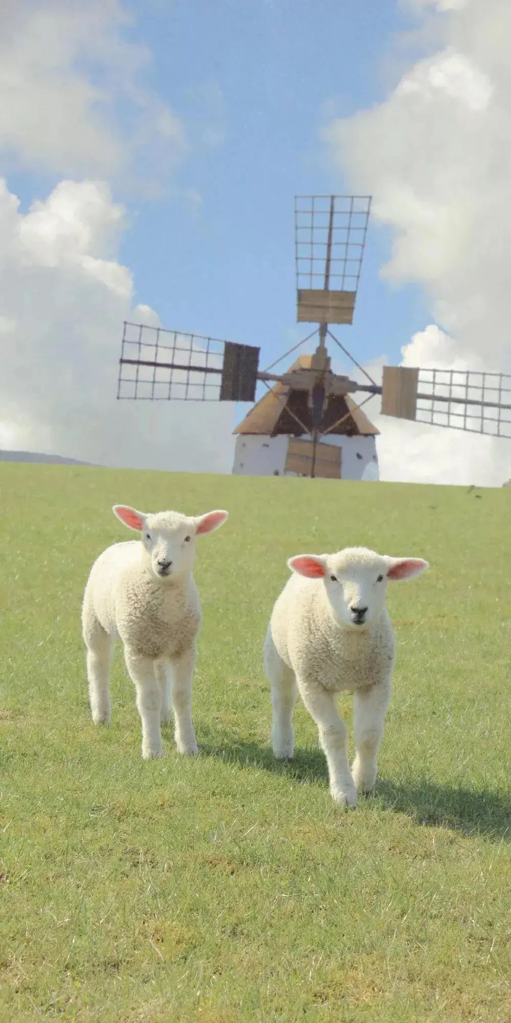 手机壁纸 | 那天起你我越走越远 脑海万千思绪想牵着你的手 - 炫图天下