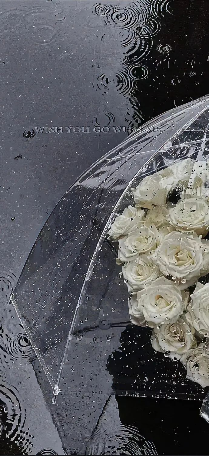 全屏壁纸 | 故事不长，也不难讲，不过是相识一场，爱而不得。 - 炫图天下