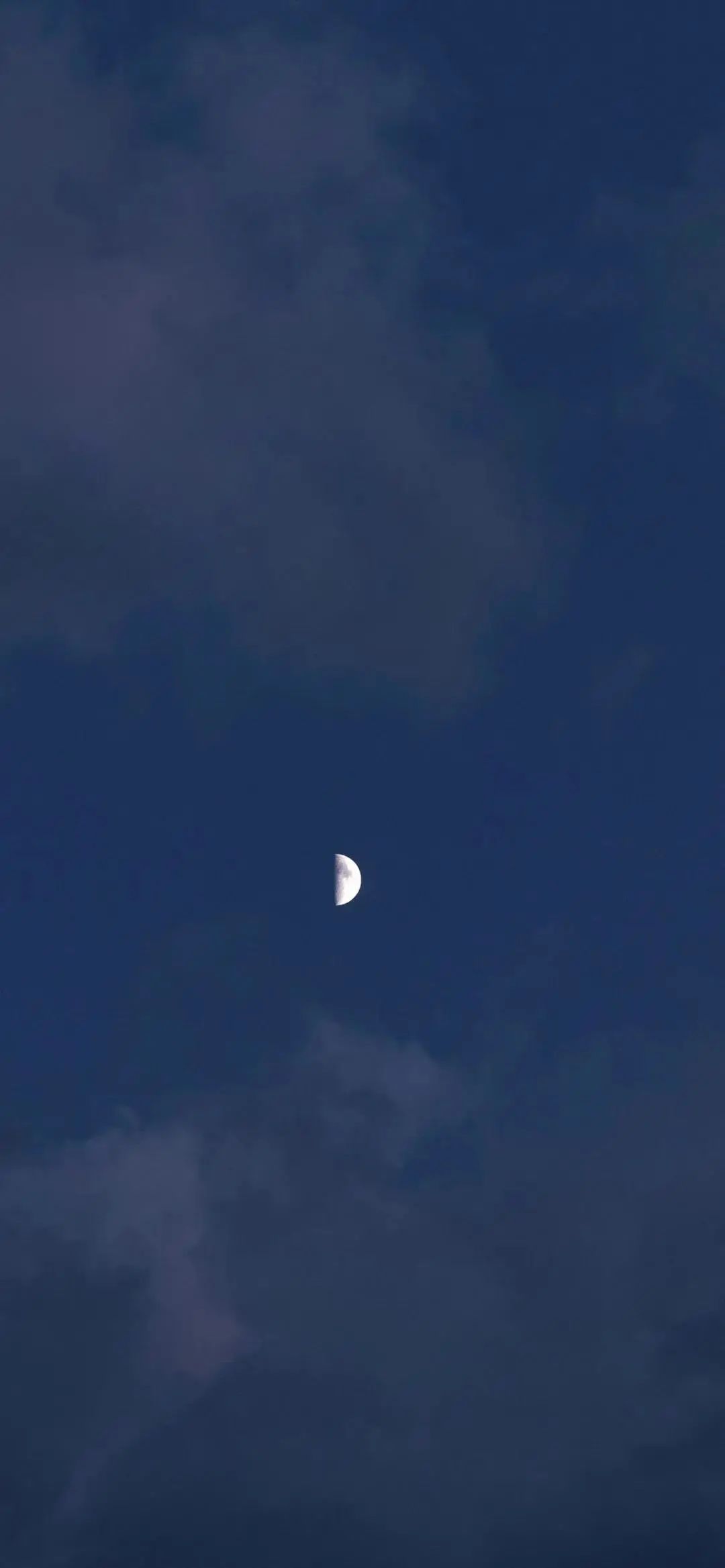 手机壁纸 | 不在乎飞向何方 不在乎做谁的太阳 - 炫图天下