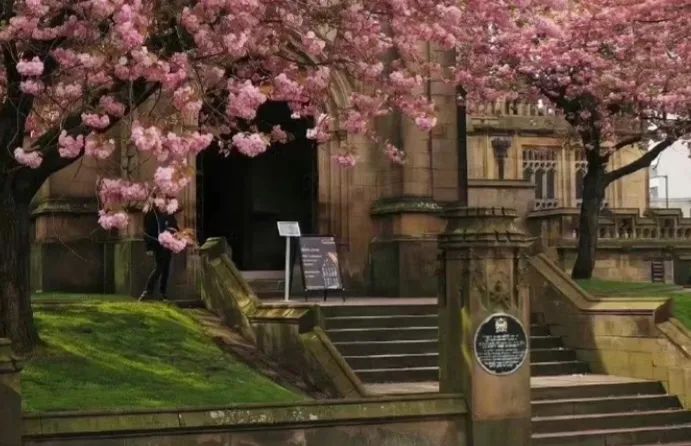 女头|蓝莓塔 - 炫图天下