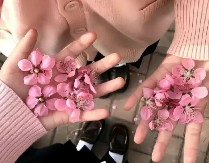 ??????女头“错过的人，就不要见面了” - 炫图天下