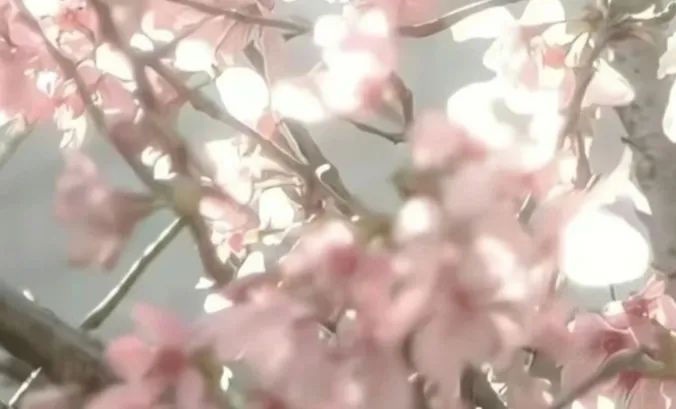 ??????女头“小猫电台聆听你的心声.” - 炫图天下