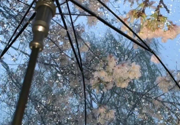 ??????女头“喜欢白晶晶爱的坦荡” - 炫图天下