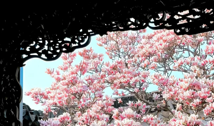 女头|声声慢 - 炫图天下