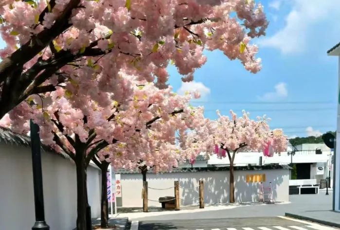 ??????女头•我嘞个豆 ̗̀(๑ᵔ⌔ᵔ๑) - 炫图天下