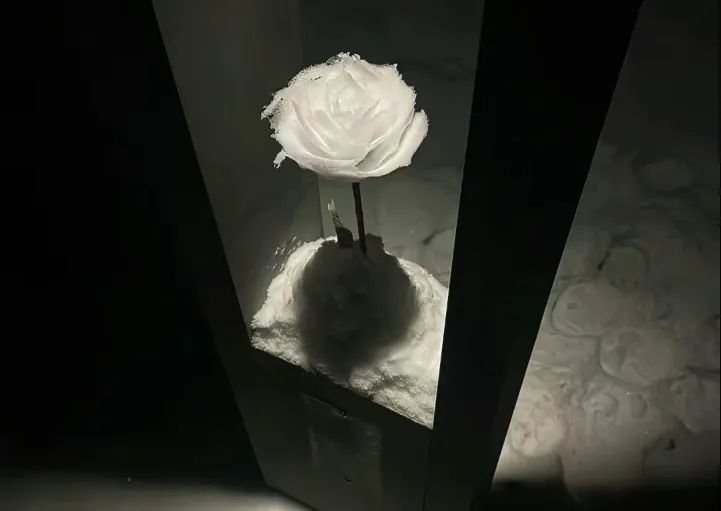 ??????女头“脱俗文案” - 炫图天下