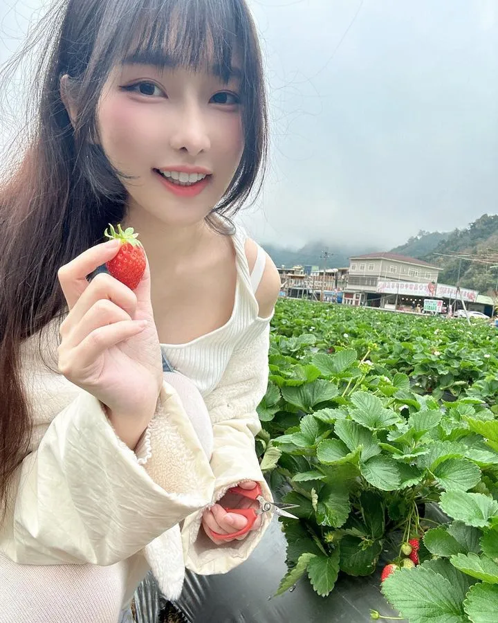 小花 | 来，吃草莓了！ - 炫图天下