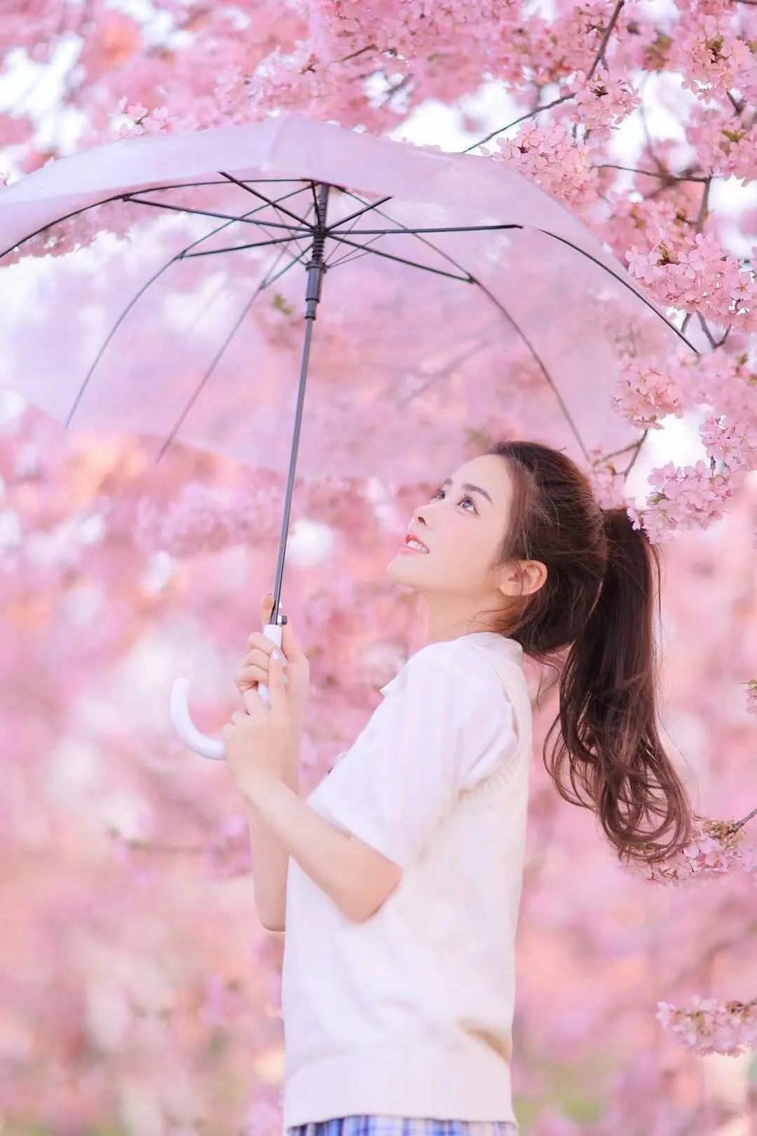 拍出氛围感 | 樱花开了 - 炫图天下
